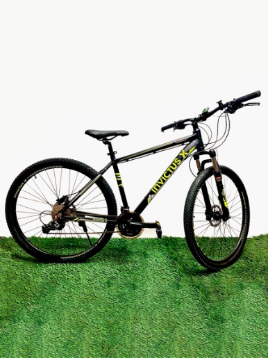 Bicicleta Invictus Aro 29 Mtb Negro/Verde