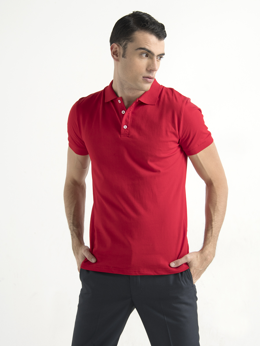 Camiseta Polo Llana