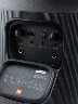 Parlante JBL Partybox 110 portátil 160W con luces