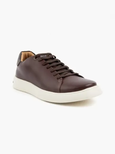 <em class="search-results-highlight">Ferracini</em> - Sneaker | Chocolate